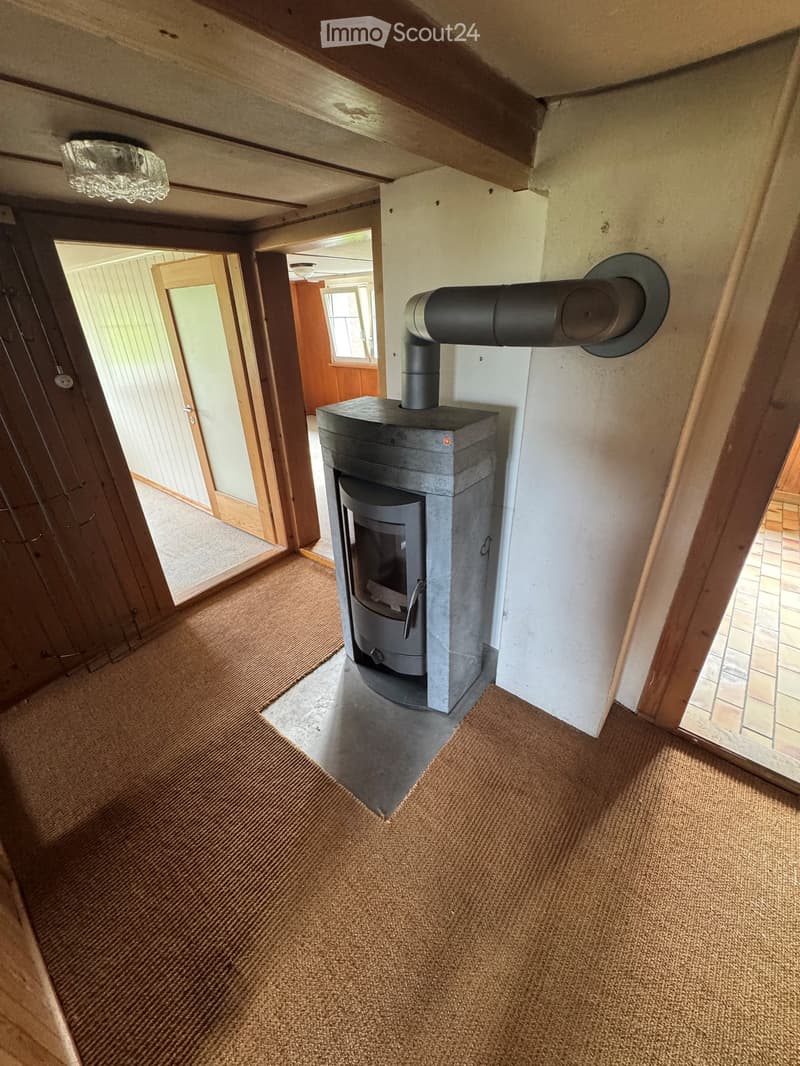Carpeted hallway with a modern wood-burning stove and chimney, wooden doors, and exposed wooden beams on the ceiling.
