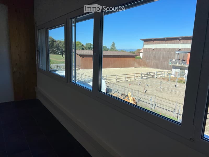 Empty room with large windows offering a view of an outdoor area with a fenced yard, wooden structures, and a clear blue sky.