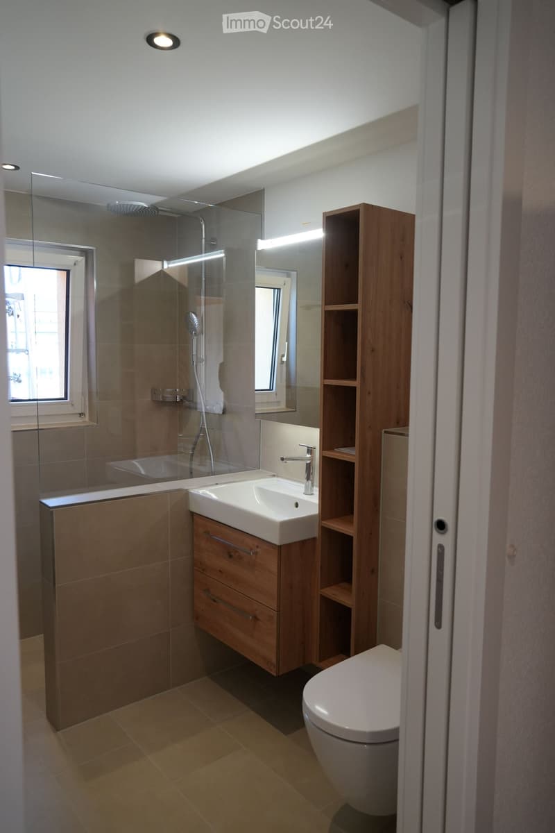 Modern bathroom with a glass-enclosed shower, a white sink with a wooden cabinet, a toilet, and a wooden shelf unit.