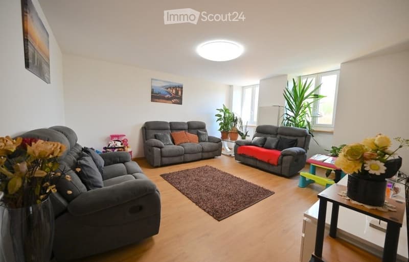 Modern living room with grey sofas, a coffee table, a small rug, and decorative plants. Features a round ceiling light and wall art.