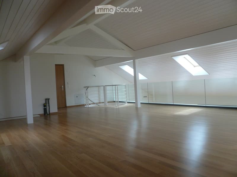 Empty room with wooden flooring, white walls, and large skylights. Features a small round railing and a wooden door.
