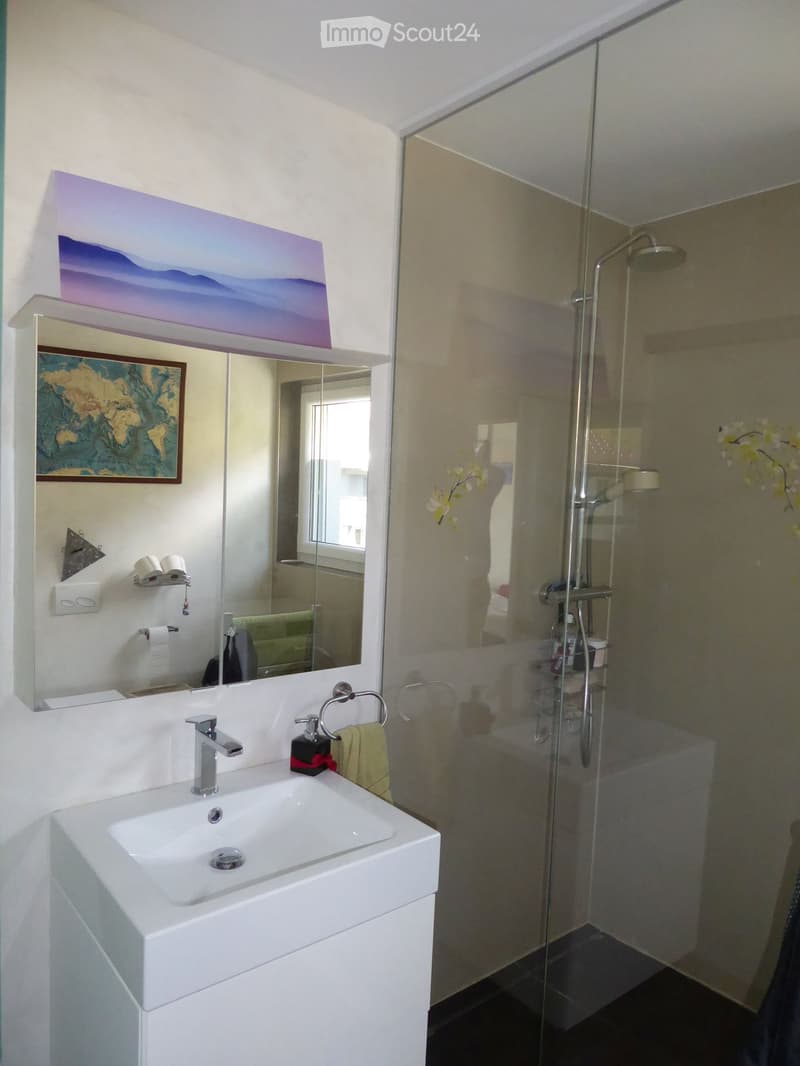 Modern bathroom with a white sink, mirror, glass shower enclosure, and decorative artwork on the wall.