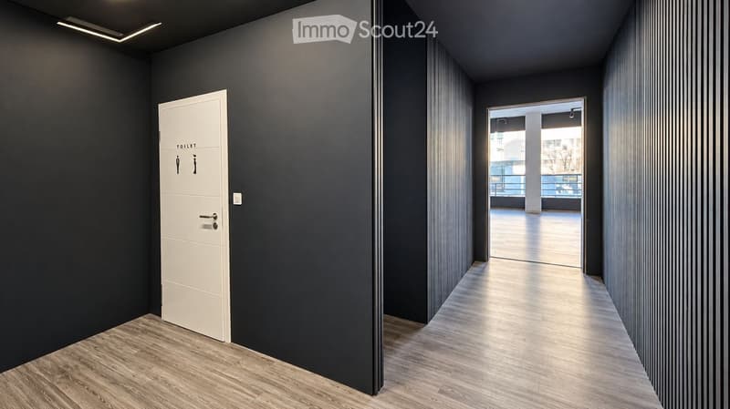 Modern hallway with dark walls, light wooden flooring, and a white door labeled 'TOILET' on the left. The hallway leads to an open area with natural light.