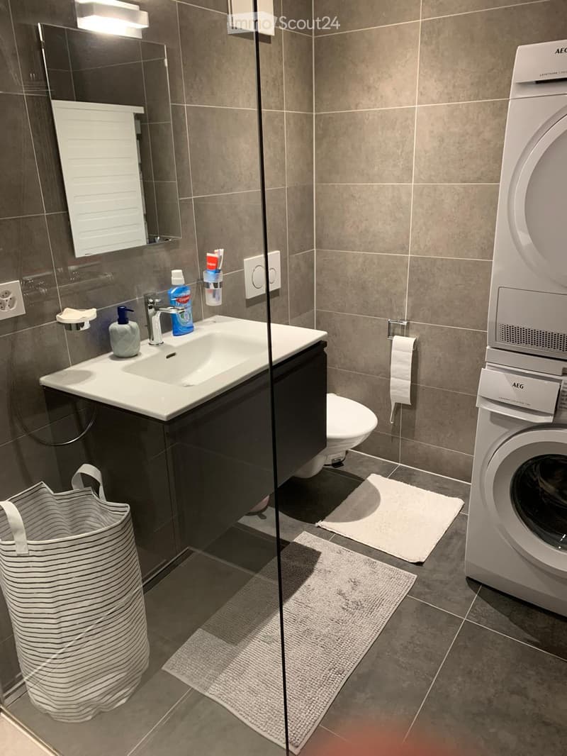 Modern bathroom with a sink, toilet, washing machine, and a mirror. Includes a towel, bath mat, and a laundry basket.