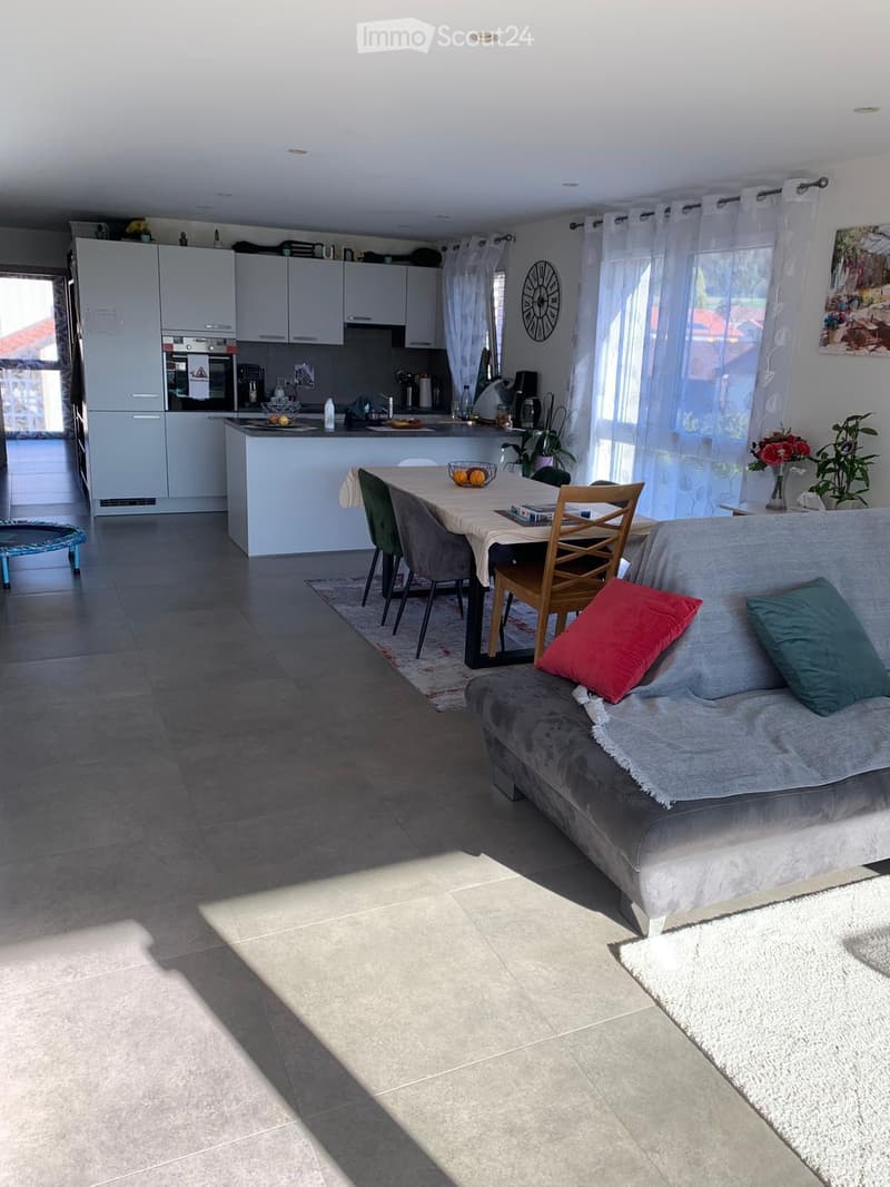 Open-plan living and dining area with a grey sofa, dining table with chairs, kitchen area with white cabinets, and various decorative items including a clock and plants.