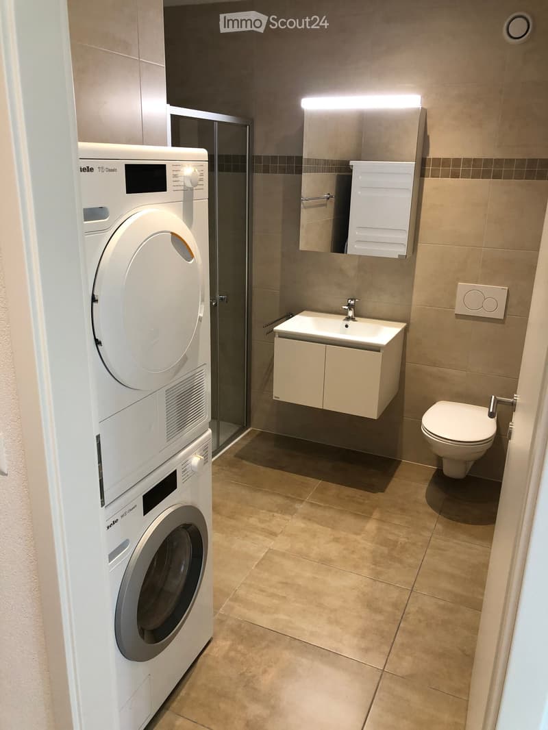 Modern bathroom with a washing machine, sink, toilet, mirror, and cabinet.