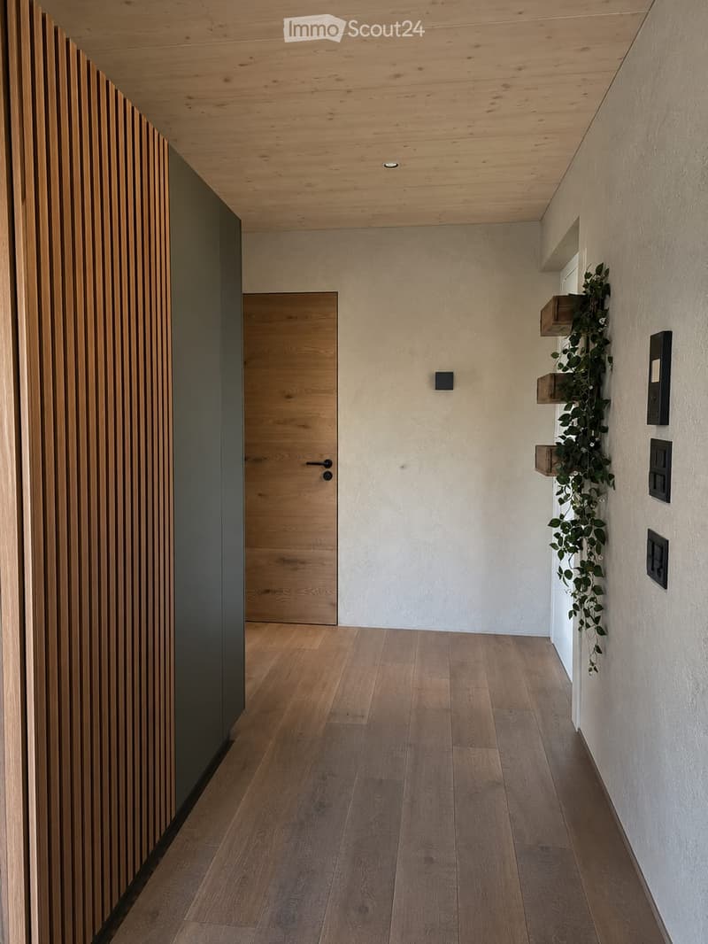 Modern hallway with wooden flooring, light-colored walls, and a wooden door. Features a vertical wooden panel on the left and a small plant on the right wall.