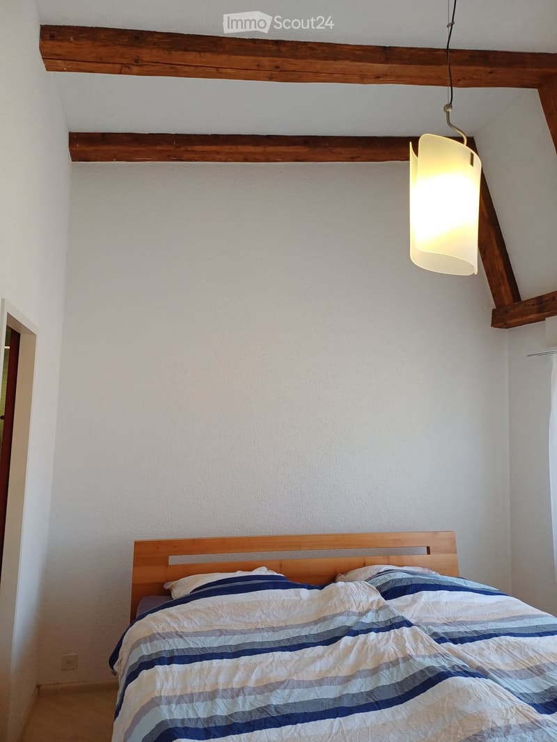 Freistehendes 5½-Zimmer-Einfamilienhaus mit idyllischem, sonnigem Garten (16)
