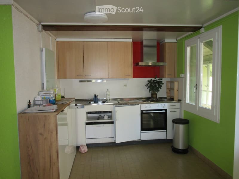A compact kitchen with light wooden cabinets, white appliances including an oven, sink, and refrigerator, and a small plant on the counter.