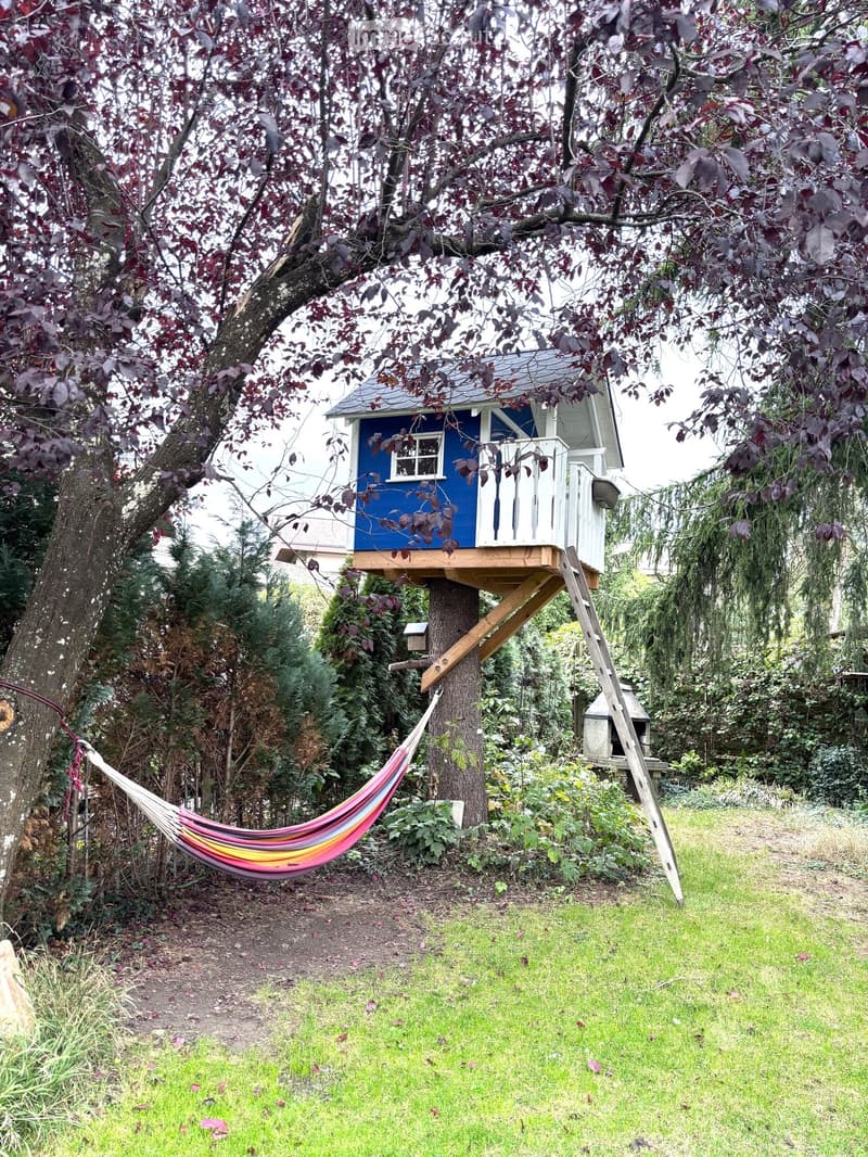 Garden with a treehouse, hammock, and surrounding greenery.