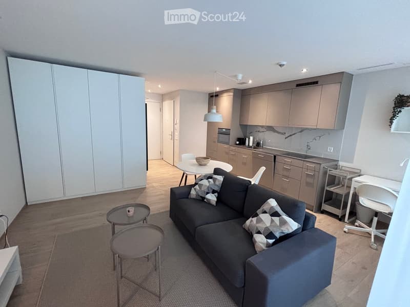 Modern open-plan living and dining area with a grey sofa, coffee table, dining table, chairs, and a small kitchen area with cabinets, sink, and appliances.