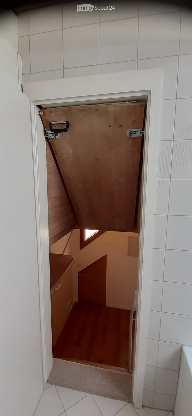 1.5 Z.-Dachwohnung mit Galerie (als Schlafbereich) und grosse Terrasse (16m2) (22)