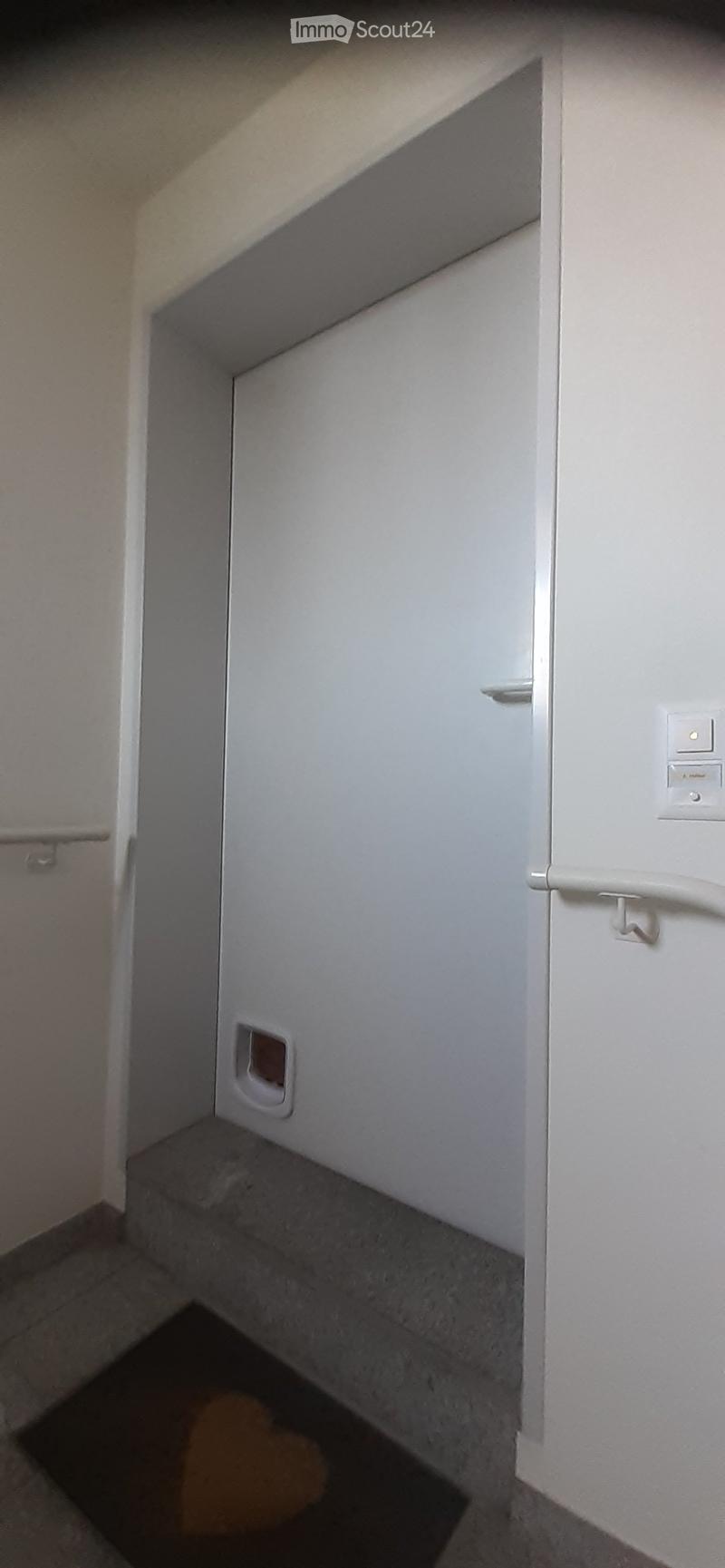 A narrow hallway with white walls, a closed white door, and a small pet door at the bottom.