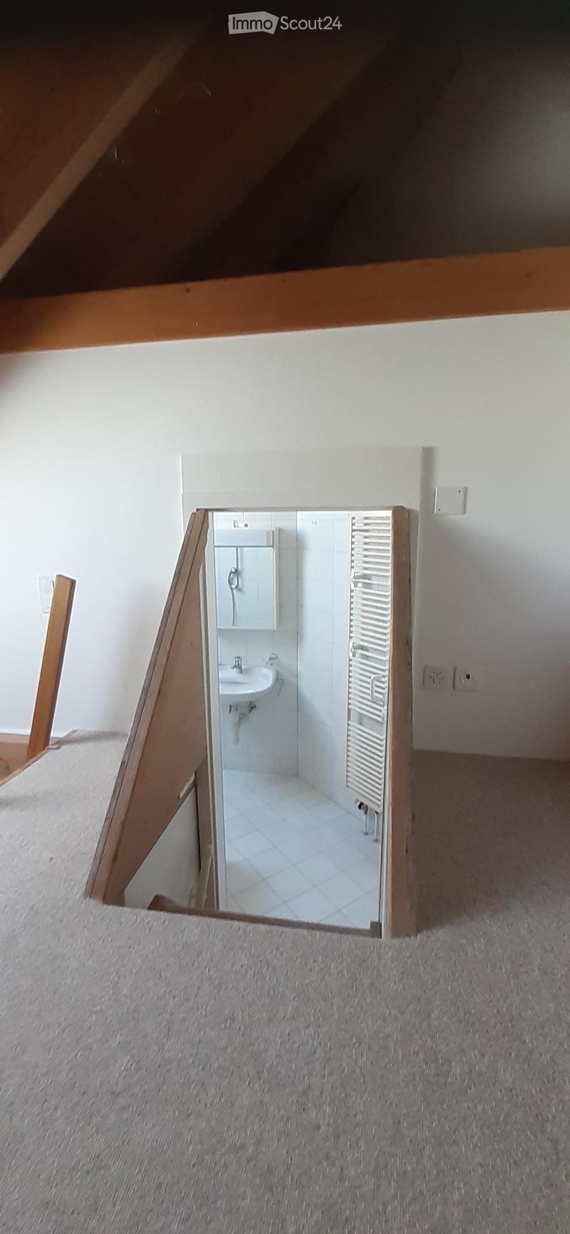 1.5 Z.-Dachwohnung mit Galerie (als Schlafbereich) und grosse Terrasse (16m2) (25)