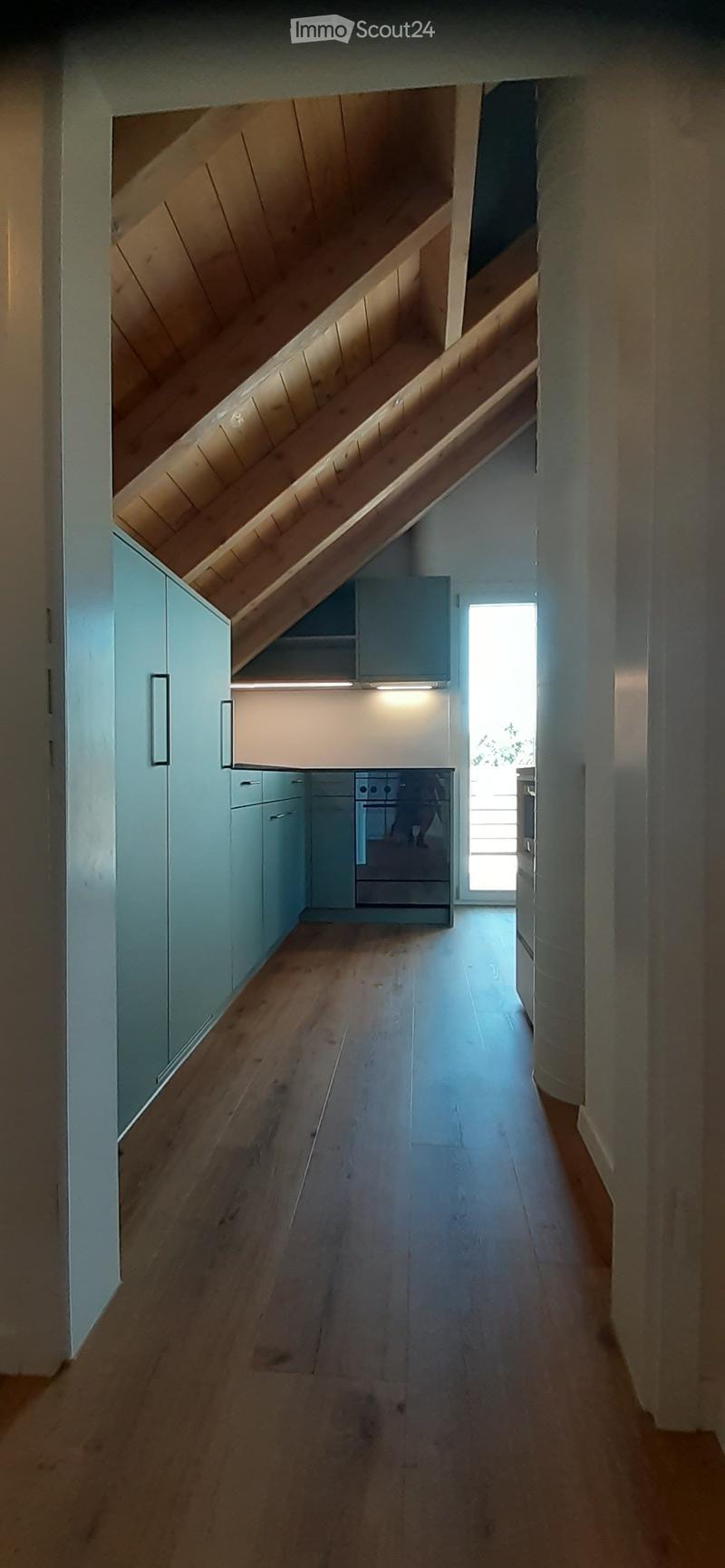 A narrow hallway with wooden flooring, light blue cabinets, and a small kitchen area visible at the end. The ceiling has a sloped design with built-in storage.