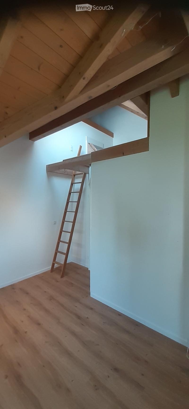 Empty attic space with wooden beams, light blue walls, wooden floor, and a wooden ladder leading to a loft area.