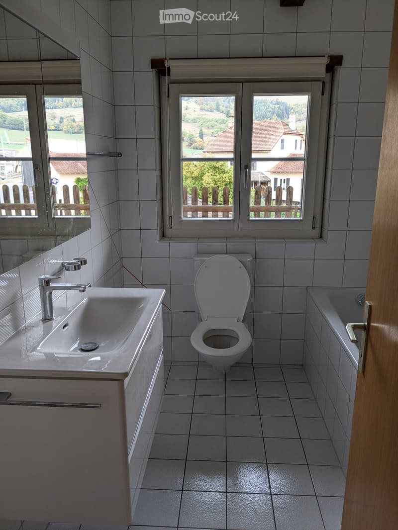 Clean bathroom with white tiles, a sink with a modern faucet, a toilet, and a large mirror. The room has large windows offering a view of the countryside.
