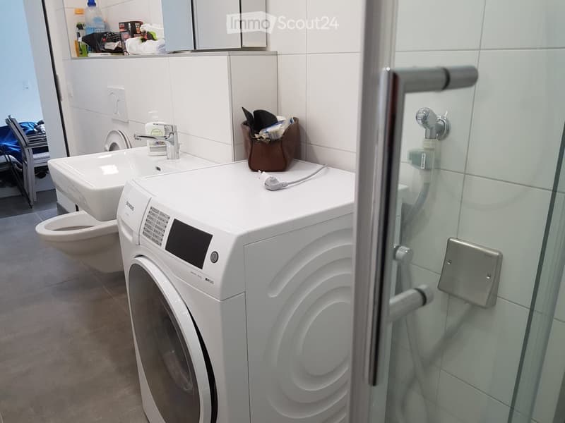 Modern bathroom with a white sink, toilet, and washing machine. A mirror and a small cabinet are visible, along with a glass shower enclosure.