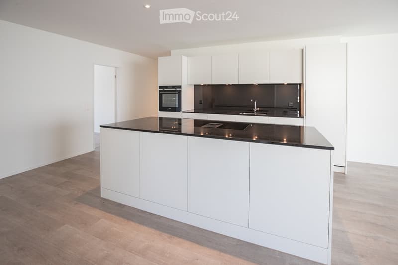 Modern kitchen with white cabinets, black countertops, and integrated appliances including an oven and sink.