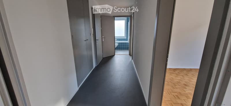 A narrow hallway with grey walls and a dark grey carpeted floor, leading to a partially visible bathroom with blue tiles and a white toilet.