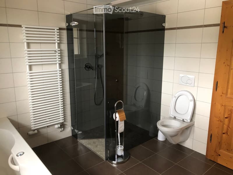 Modern bathroom with a bathtub, toilet, glass-enclosed shower, white radiator, and a toilet paper holder.