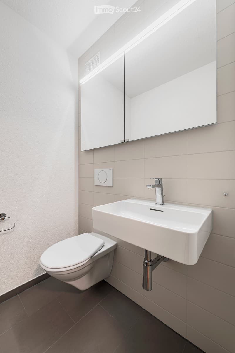 Modern bathroom with a white toilet, a white sink with a chrome faucet, a large mirror above the sink, and a light switch on the wall.