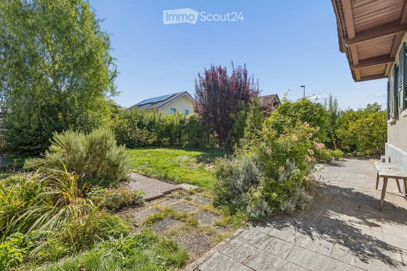 Well-maintained garden with a variety of plants, shrubs, and trees, featuring a paved pathway leading to a wooden bench near the house.