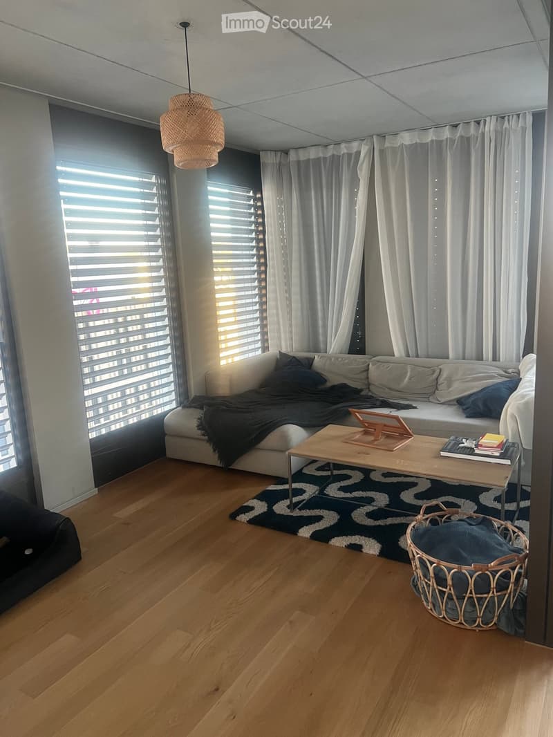 Modern living room with light wood flooring, a grey sofa with cushions and a blanket, a wooden coffee table with books and a tablet, a wicker basket, and a wicker pendant light hanging from the ceiling.