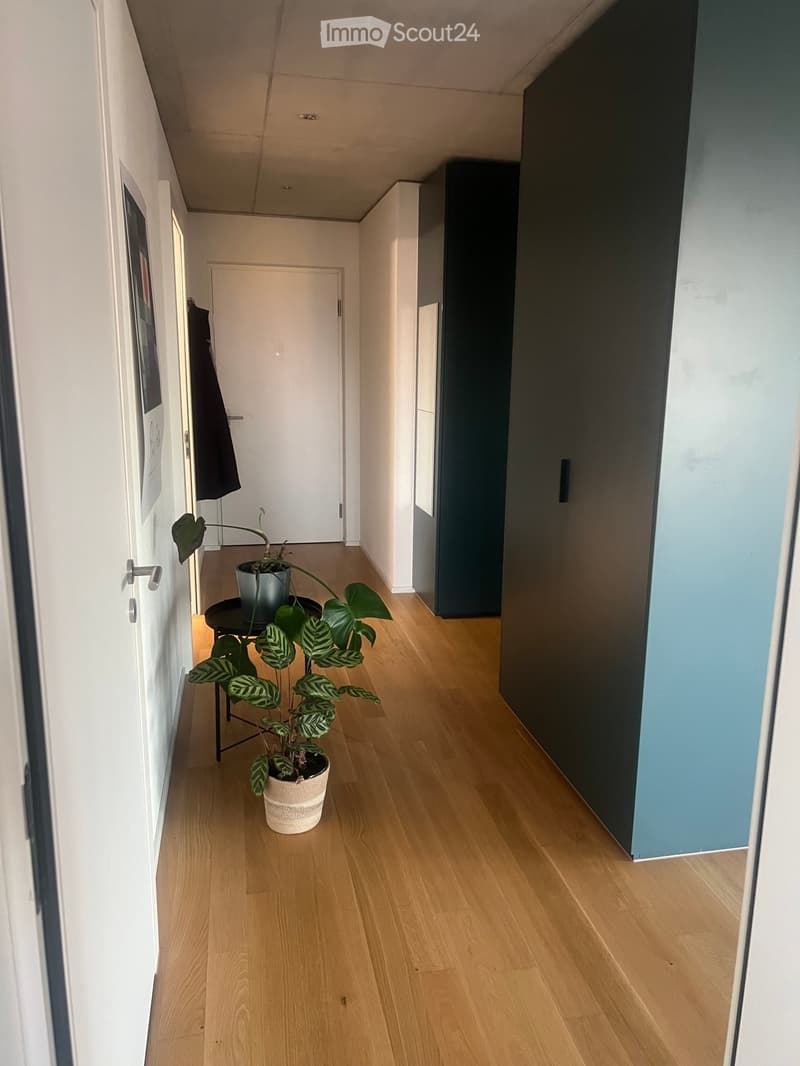 Narrow hallway with light wooden flooring, white walls, and a small black table with a potted plant.