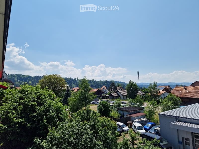 A view from a balcony or terrace overlooking a residential area with houses, trees, and parked cars, under a clear blue sky.