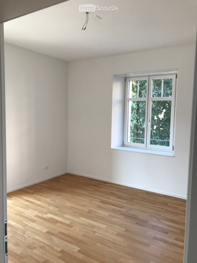 Empty room with light wooden flooring and white walls, featuring a large window with white frame and visible greenery outside.