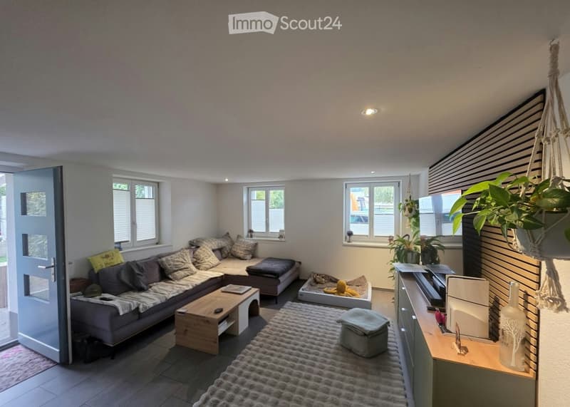 Modern living room with a grey sectional sofa, wooden coffee table, cat bed, cat tree, and decorative items on a side table.