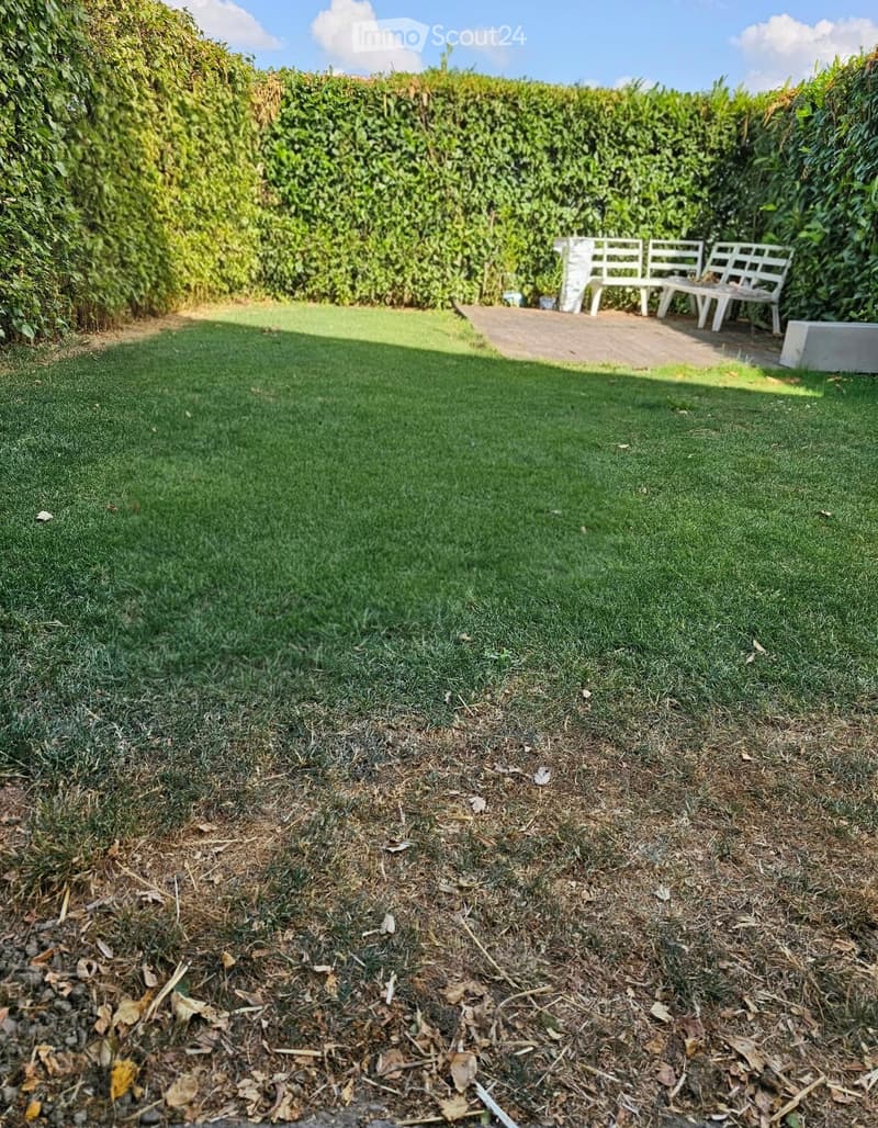 Well-maintained garden with artificial grass, a raised wooden bench, and a surrounding hedge.