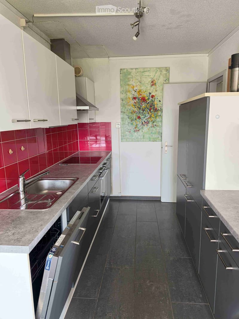Modern kitchen with white cabinets, red tiled backsplash, stainless steel sink, and a dishwasher. Features a grey tiled floor and a colorful abstract painting on the wall.