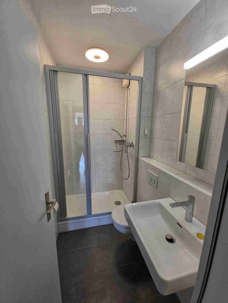 Modern bathroom with a white sink, chrome faucet, large mirror, glass-enclosed shower, and a toilet. The space features dark tiled flooring and light-colored walls.