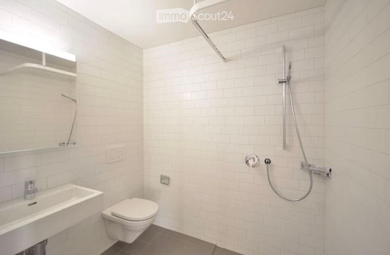 Modern bathroom with white tiled walls and floor, featuring a toilet, sink, mirror, and a shower with a handheld sprayer.