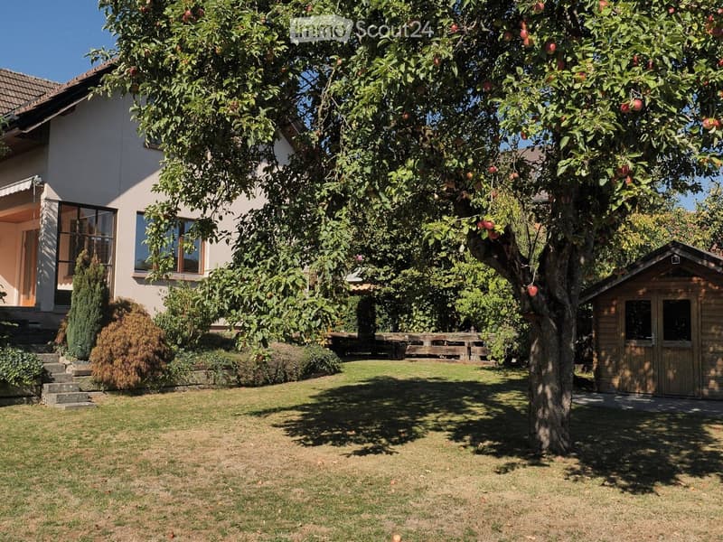 A well-maintained garden with a large apple tree, a wooden shed, a bench, and a house with large windows and a covered entrance.