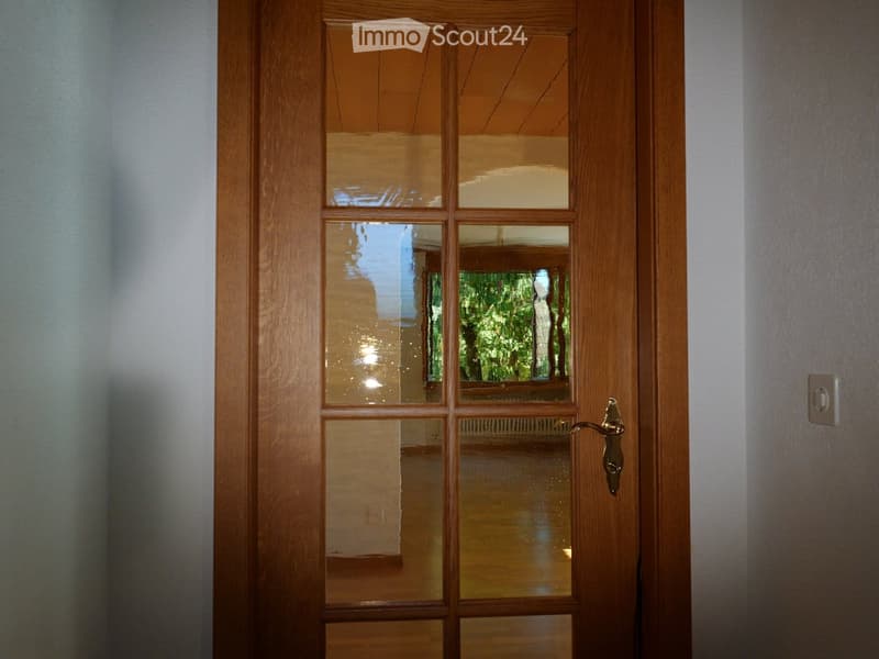 Wooden door with glass panels, brass handle, and a view of a room with a window showing greenery outside.