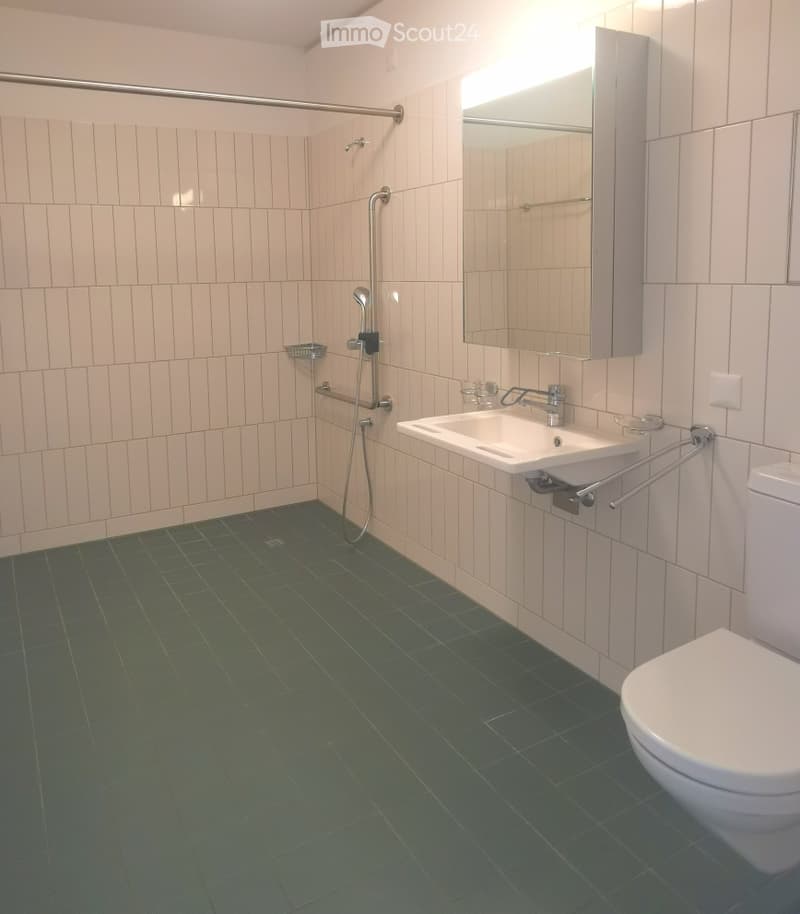 Modern bathroom with green tiled floor, white tiled walls, a toilet, a sink with a mirror above it, and a shower area with a handheld showerhead and grab bars.