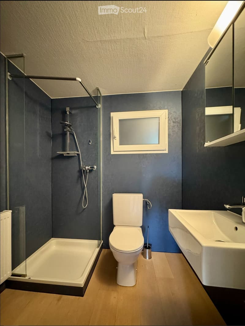 Modern bathroom with dark blue walls, a bathtub, toilet, sink, and a glass-enclosed shower area.