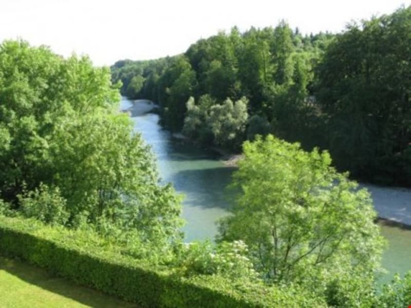 panoramic view of a river and forest