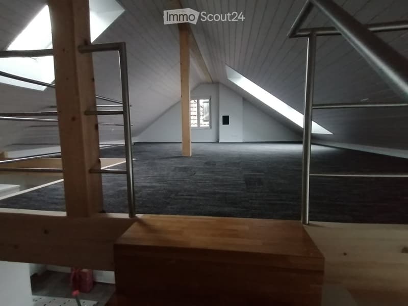 Empty attic space with wooden beams, skylights, and a metal staircase leading to another level. The floor is carpeted, and the walls are white.