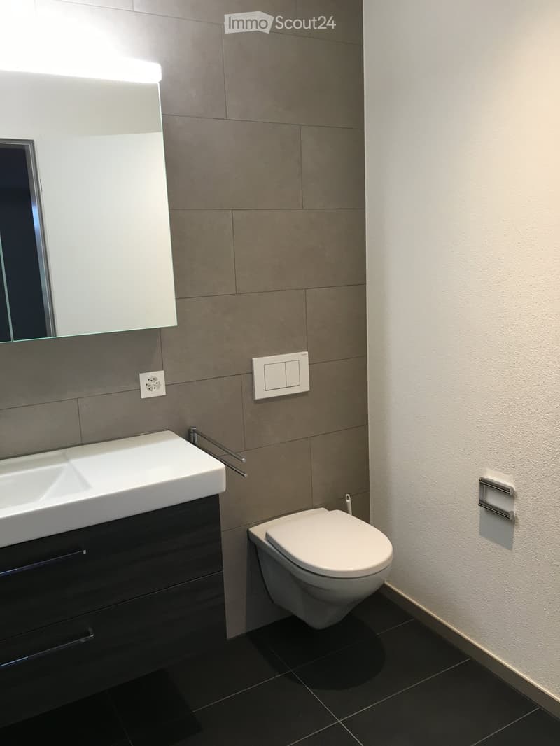 Modern bathroom with a white sink, dark wooden cabinet, toilet, and a large mirror above the sink. The walls are tiled in gray and white, and the floor is black tiled.