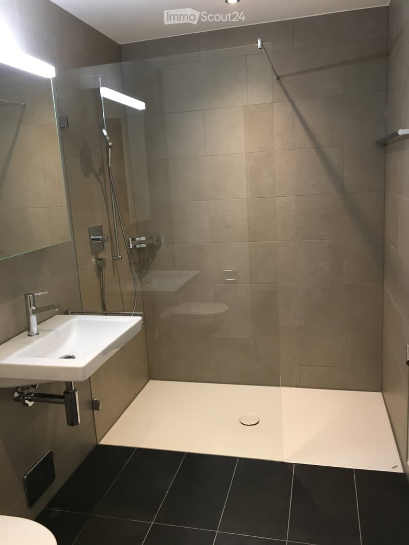 Modern bathroom with a white sink, chrome faucet, glass-enclosed shower, and dark tiled floor.