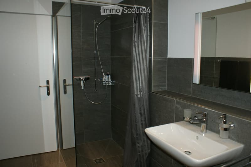 Modern bathroom with a white sink, chrome faucet, large mirror, and a glass-enclosed shower with a dark grey tile wall and a grey shower curtain.