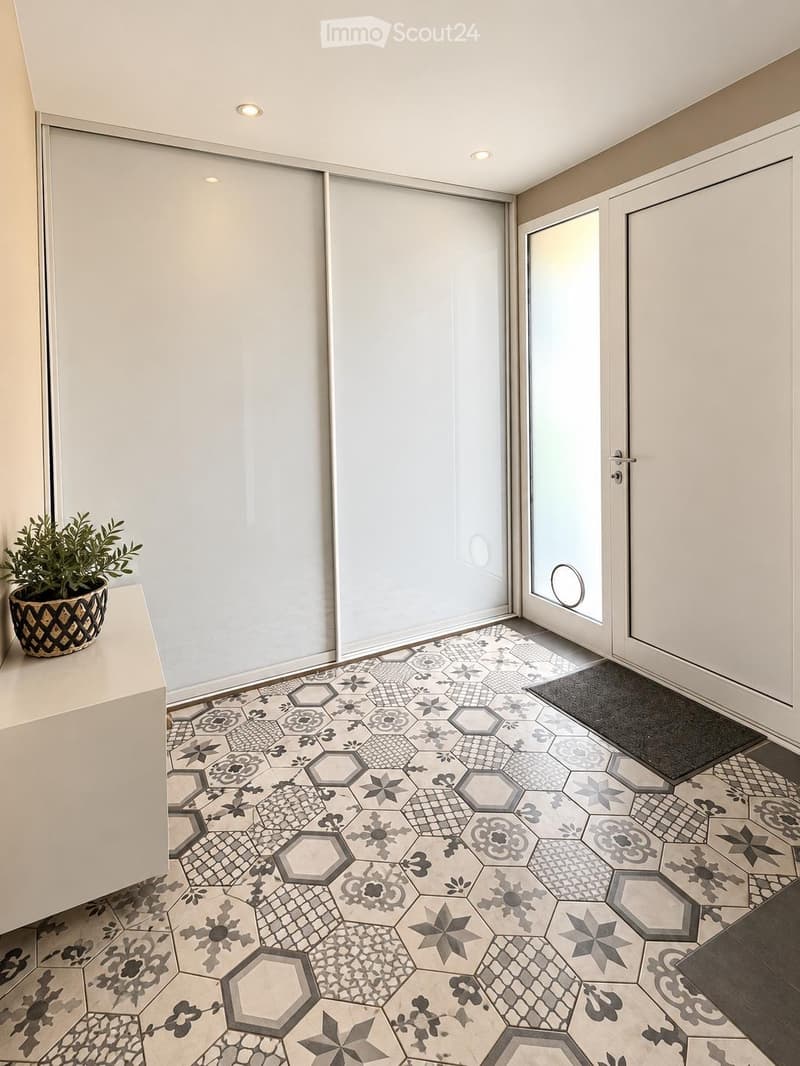 A modern hallway with a decorative hexagonal tile floor, white walls, recessed lighting, and a potted plant on a console table. Features a sliding glass door leading outside.