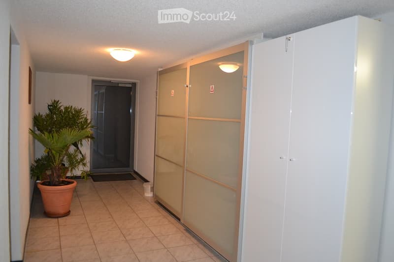 A well-lit hallway with tiled flooring, a potted plant on the left, a closed elevator door at the end, and a white sliding door on the right.