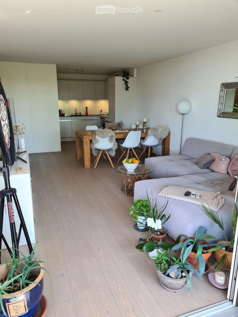 Open-plan living and dining area with light wood flooring, a grey sectional sofa, a glass coffee table, a wooden dining table with chairs, and several potted plants. A modern kitchen is visible in the background.