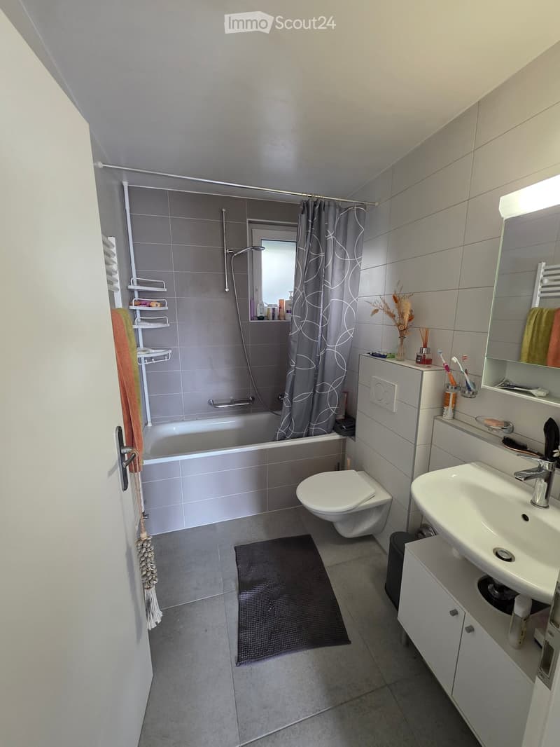 Modern bathroom with a bathtub, toilet, sink, mirror, and shower curtain. Includes a towel rack, toothbrush holder, vase, and bathroom cabinet.