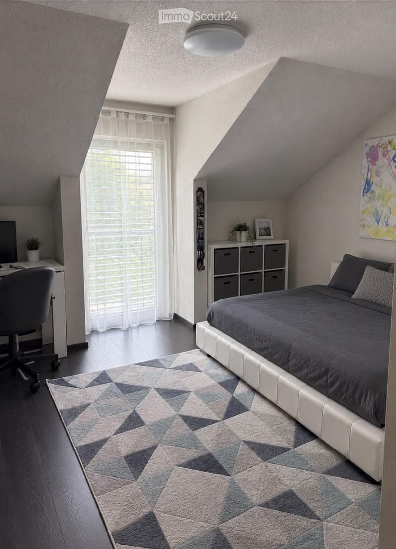 Cozy attic bedroom with a modern bed, geometric patterned rug, desk with chair, storage unit, and decorative items including a potted plant and artwork.